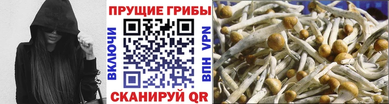 MEGA зеркало  Омутнинск  Галлюциногенные грибы Psilocybe 